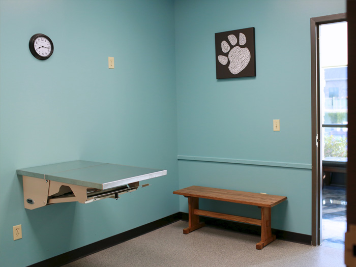 Dog Exam Room